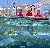 Outer Reef Pontoon Experience from Cairns