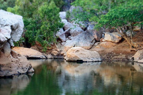 Windjana Gorge And Tunnel Creek 4WD Tour From Broome - Accommodation Kalgoorlie 5