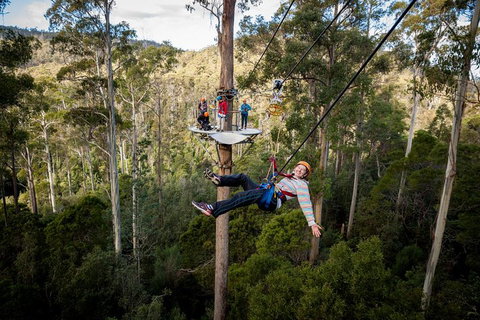 Hollybank Wilderness Adventure - Zipline Tours - Accommodation Kalgoorlie 0