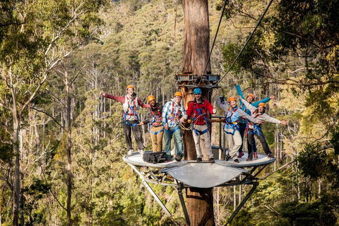 Hollybank Wilderness Adventure - Zipline Tours - Accommodation Kalgoorlie 1