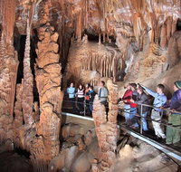 Blue Mountains Private Tour from Sydney with Jenolan Caves - Accommodation Kalgoorlie