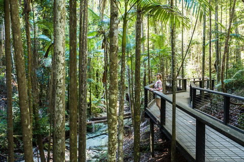 All-Inclusive Fraser Island Day Tour - Accommodation Kalgoorlie 5