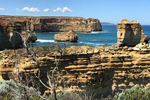 Great Ocean Road Reverse Itinerary Tour - Accommodation Kalgoorlie 1