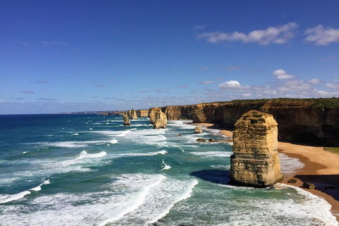 Great Ocean Road Reverse Itinerary Tour - Accommodation Kalgoorlie 4