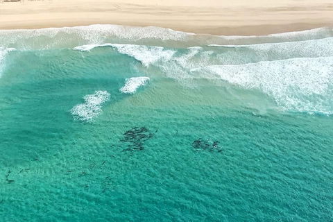 Coastal Helicopter Shared Flight - 20 Minutes - Accommodation Kalgoorlie 4