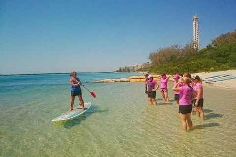 Golden Beach 1-Hour Stand-Up Paddleboard Hire On The Sunshine Coast - Accommodation Kalgoorlie 1