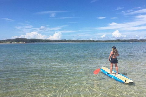 Golden Beach 1-Hour Stand-Up Paddleboard Hire On The Sunshine Coast - Accommodation Kalgoorlie 4