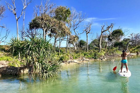 Golden Beach 1-Hour Stand-Up Paddleboard Hire On The Sunshine Coast - Accommodation Kalgoorlie 5