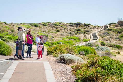 Margaret River Coastal And Wildlife Eco Trip From Busselton Or Dunsborough - Accommodation Kalgoorlie 0