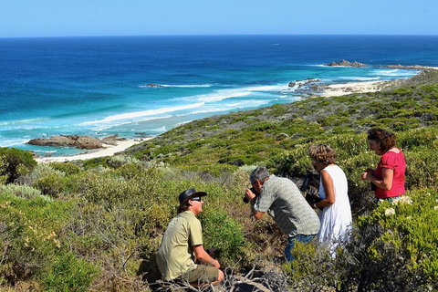 Margaret River Coastal And Wildlife Eco Trip From Busselton Or Dunsborough - Accommodation Kalgoorlie 2