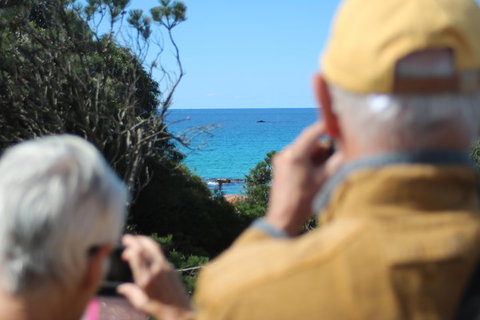 Margaret River Coastal And Wildlife Eco Trip From Busselton Or Dunsborough - Accommodation Kalgoorlie 5